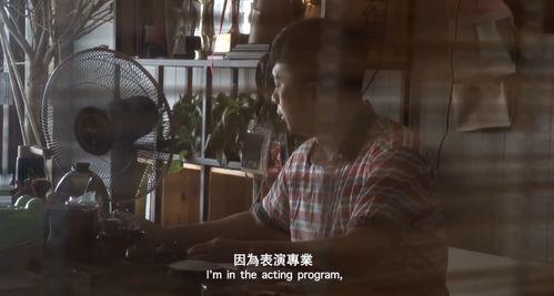 国产视频画质差不露脸,神秘面纱下的精彩呈现